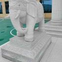 广元 白麻花岗岩动物异形石雕-大象