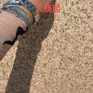 广元黄金麻火烧面