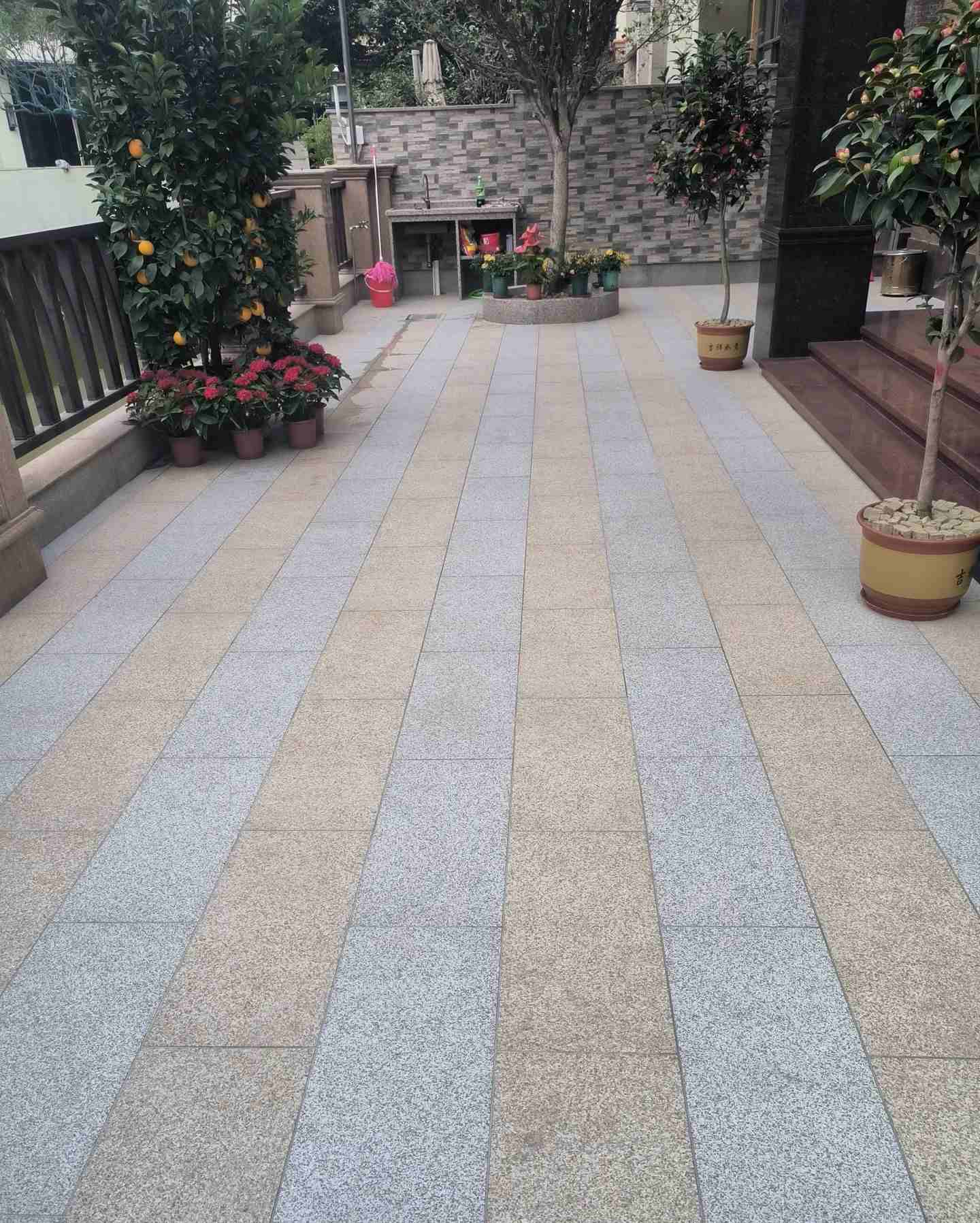 广元 黄金麻白麻荔枝面庭院铺装展示